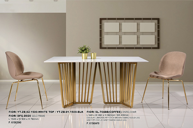 FIORI DFG-D020 SL-7048B (002)