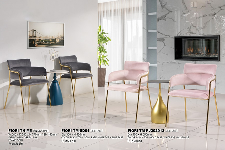 FIORI TH-M5, TM-SD01